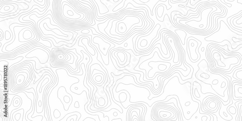 Minimal white line geometric grid outline curve counter map and wavy topography relief discovery area white, black line texture background.