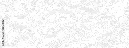 Minimal white line geometric grid outline curve counter map and wavy topography relief discovery area white, black line texture background.