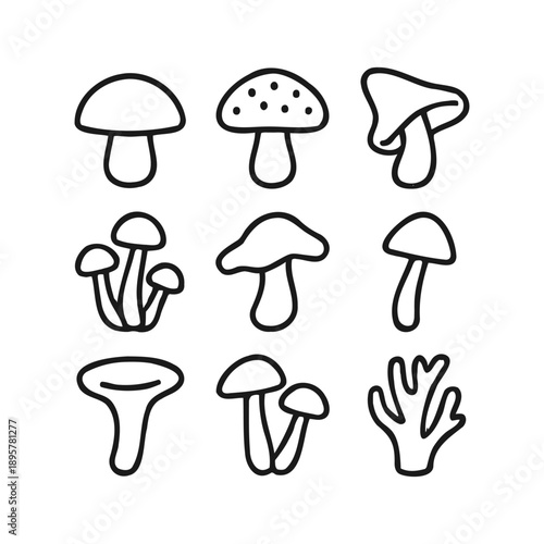 Wild mushroom varieties and fungi species icons, linear icon. Mycology, forest foraging, organic food, and natural autumn harvest concepts.