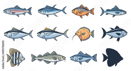 Fish collection vector illustration set.