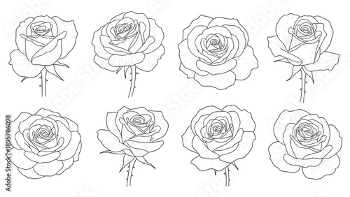 Eight different rose flower outline sketches showing flowers from various angles and bloom stages in a simple black and white line art.