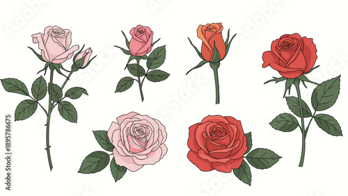 Collection of six pink and red rose flowers including buds and full blooms with green stems and leaves in a detailed color sketch style.