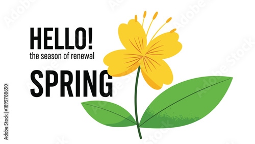 Simple spring illustration featuring a single yellow flower with green leaves and the text Hello the season of renewal Spring card.