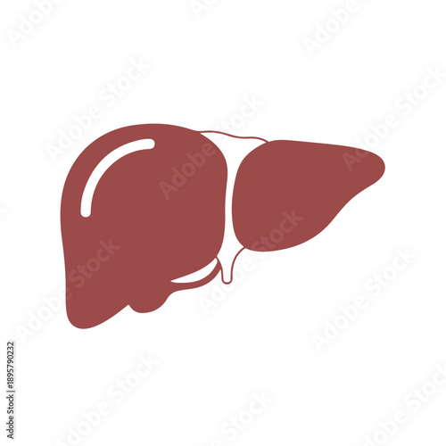 A cartoon illustration of a cute, red liver and gallbladder against a clean white background.