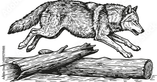 Detailed illustration of a wild wolf jumping over wooden logs in dynamic motion