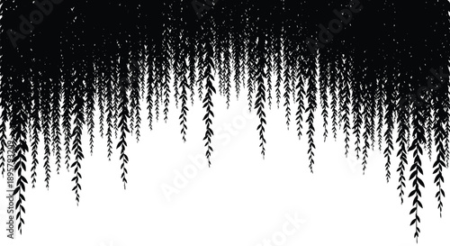 Dense curtain of willow tree branches with small leaves hanging down in a black silhouette, creating a natural border or textured background.