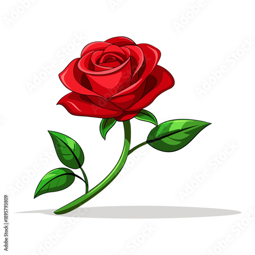 Single beautiful red rose isolated on white background. A single, vibrant red rose lying on a plain white background. Red rose flower with clipping path, side view.
