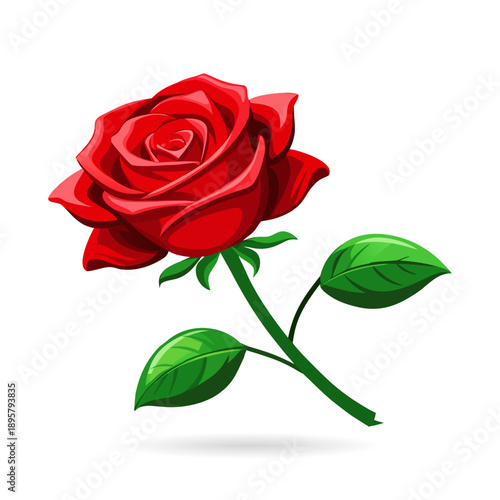 Single beautiful red rose isolated on white background. A single, vibrant red rose lying on a plain white background. Red rose flower with clipping path, side view.