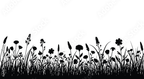 Field of various wildflower and grass silhouettes in black against a white background, depicting a diverse and natural meadow landscape.