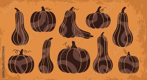 Group of various pumpkins and squashes in different shapes and sizes with unique patterns on a warm orange textured background.