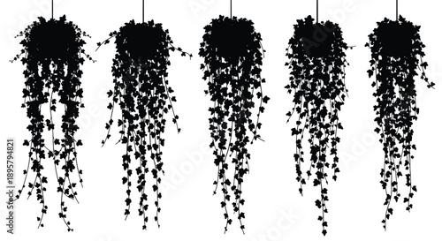 Five separate black silhouettes of dense ivy or hanging plants suspended from strings against a plain white background.