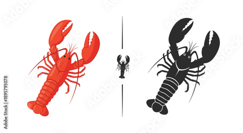 Illustration of a lobster shown in three different styles including full color red and solid black silhouettes.