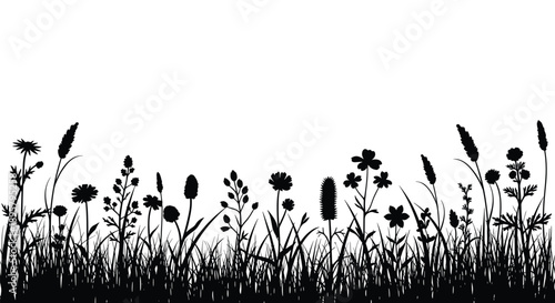 Horizontal silhouette of a wild flower meadow and dense grass field creating a natural border for scenic designs.