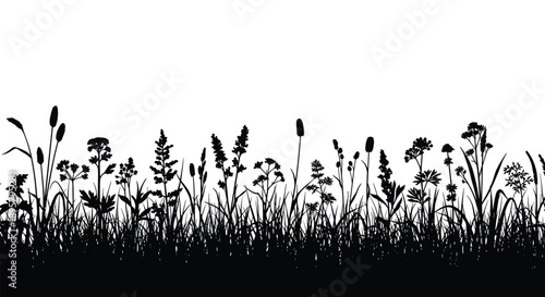 Long horizontal silhouette of a summer meadow with various wild flowers and tall grass against a white background.