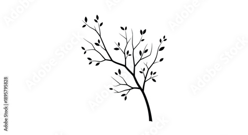 Black silhouette of a slender tree branch with delicate leaves growing in multiple directions isolated on a solid white background.