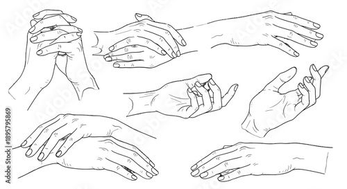 Collection of Hand Gestures Illustrated in Simple Line Art.