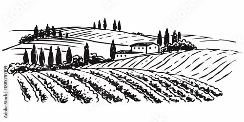 Rolling hills and a tuscan farmhouse scene in a black and white sketch