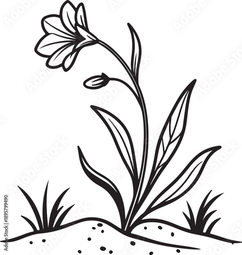 Charming black and white drawing of a single flower blooming from the ground with surrounding grass and soil details.