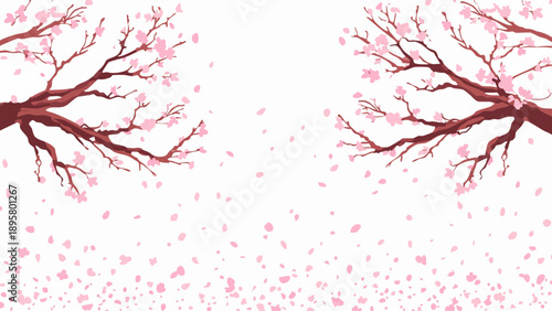Delicate pink cherry blossoms and falling petals against a white background.