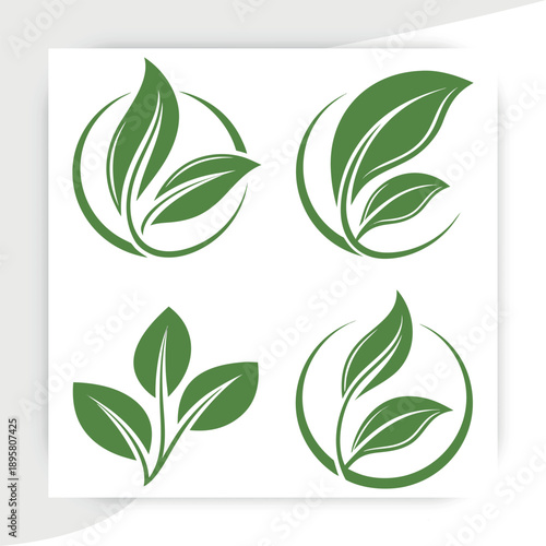  tree leaves vector, Green Leaf Eco Nature Icons Set Organic Plant Vector Collection, leaves on white background vector illustration,green beech tree leaves,