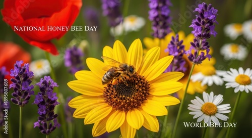 Bee on Sunflower - Celebrating National Honey Bee Day in Nature.