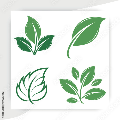  tree leaves vector, Green Leaf Eco Nature Icons Set Organic Plant Vector Collection, leaves on white background vector illustration,green beech tree leaves,