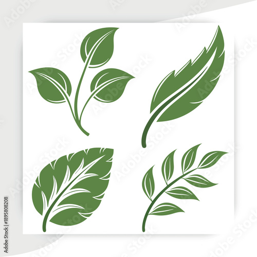  tree leaves vector, Green Leaf Eco Nature Icons Set Organic Plant Vector Collection, leaves on white background vector illustration,green beech tree leaves,