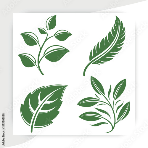  tree leaves vector, Green Leaf Eco Nature Icons Set Organic Plant Vector Collection, leaves on white background vector illustration,green beech tree leaves,