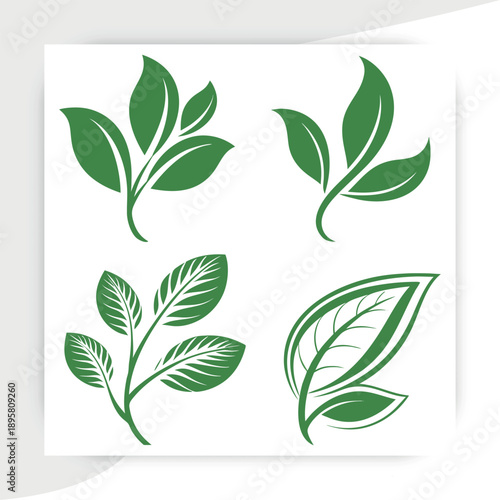  tree leaves vector, Green Leaf Eco Nature Icons Set Organic Plant Vector Collection, leaves on white background vector illustration,green beech tree leaves,