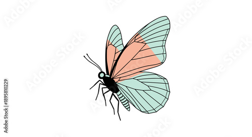 Artistic illustration of a butterfly with pink and light green wings viewed from the side in profile on white background.