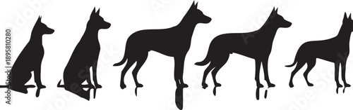 Black dog silhouettes vector set in sitting and standing poses, isolated on white