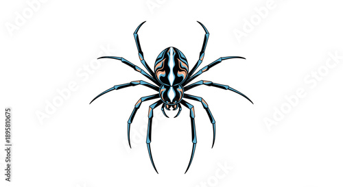 Intricate illustration of a spider with colorful patterns in blue and orange on a white background for nature art.