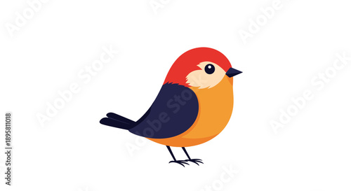 Bright and colorful cartoon illustration of a small songbird with a mix of red, orange, white, and navy blue plumage patterns.
