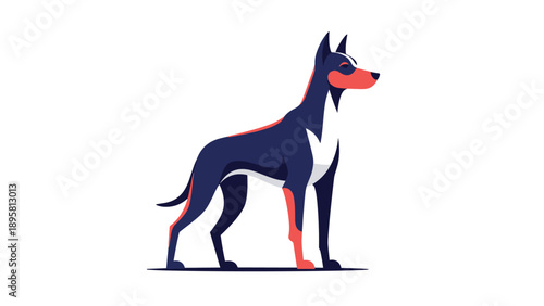 Sleek illustration of a doberman pinscher dog standing in a proud and alert pose shown against a clean white background.