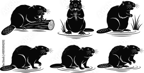 Beaver silhouette illustration set showing multiple poses and activities, detailed wildlife rodent animal vector collection isolated on white background