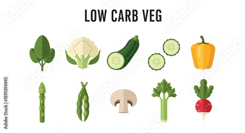 Illustration of ten lowcarb vegetables arranged in two rows against a white background