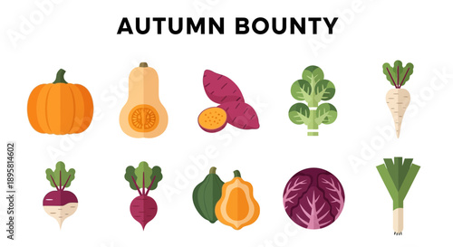 Ten colorful flat icons of various autumn vegetables arranged in two rows