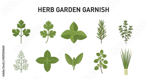 Ten illustrations of different green herbs are arranged in two rows under a title