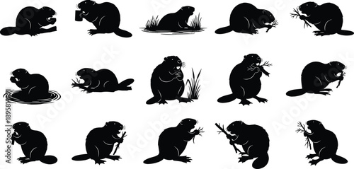 Black and white beaver silhouette collection showing eating, sitting and working poses, cute rodent wildlife vector illustration isolated on white background