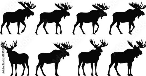 Black and white moose silhouette collection with walking and standing poses, powerful wildlife vector illustration isolated on white background