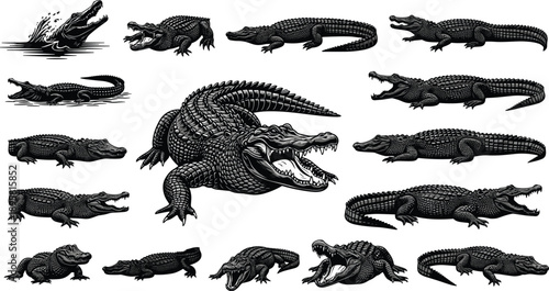 Vintage black and white crocodile and alligator engraving illustration set with aggressive reptile poses, detailed wildlife line art isolated on white background