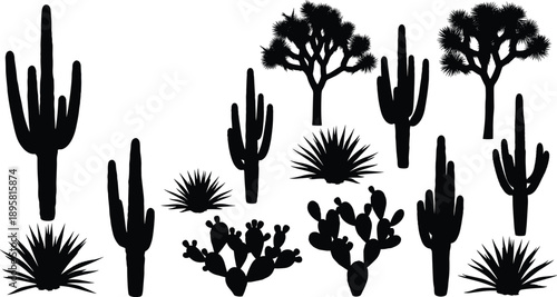 Black desert plant silhouette set with cactus agave and Joshua tree vector icons isolated on white background nature illustration