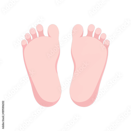 Human feet vector icon.
