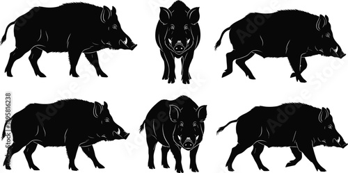 Wild boar silhouette set showing multiple poses isolated on white background, black vector illustration for wildlife and design projects