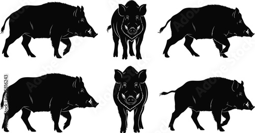 Wild boar silhouette set with multiple poses isolated on white background black vector wildlife illustration collection for design and branding projects