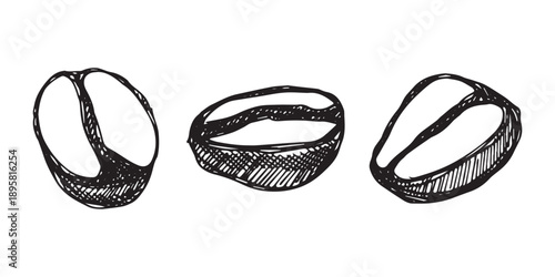 Set of hand drawn fresh roasted coffee bean Arabica robusta seed doodle Single element for design print packaging label decor