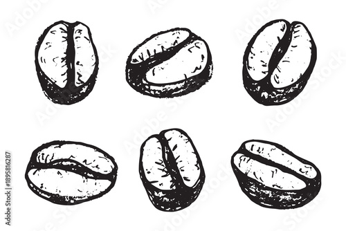 Set of hand drawn fresh roasted coffee bean Arabica robusta seed doodle Single element for design print packaging label decor
