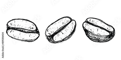 Set of hand drawn fresh roasted coffee bean Arabica robusta seed doodle Single element for design print packaging label decor