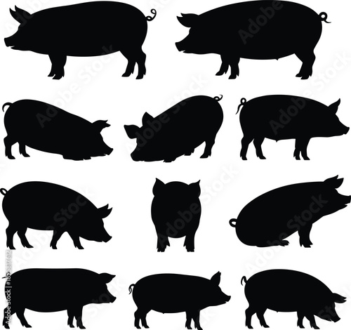Pig silhouettes set featuring farm livestock in standing, walking and grazing poses, domestic pigs, black animal silhouettes isolated on white background