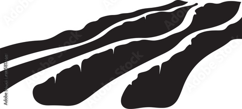 Black abstract claw marks on white background illustration design